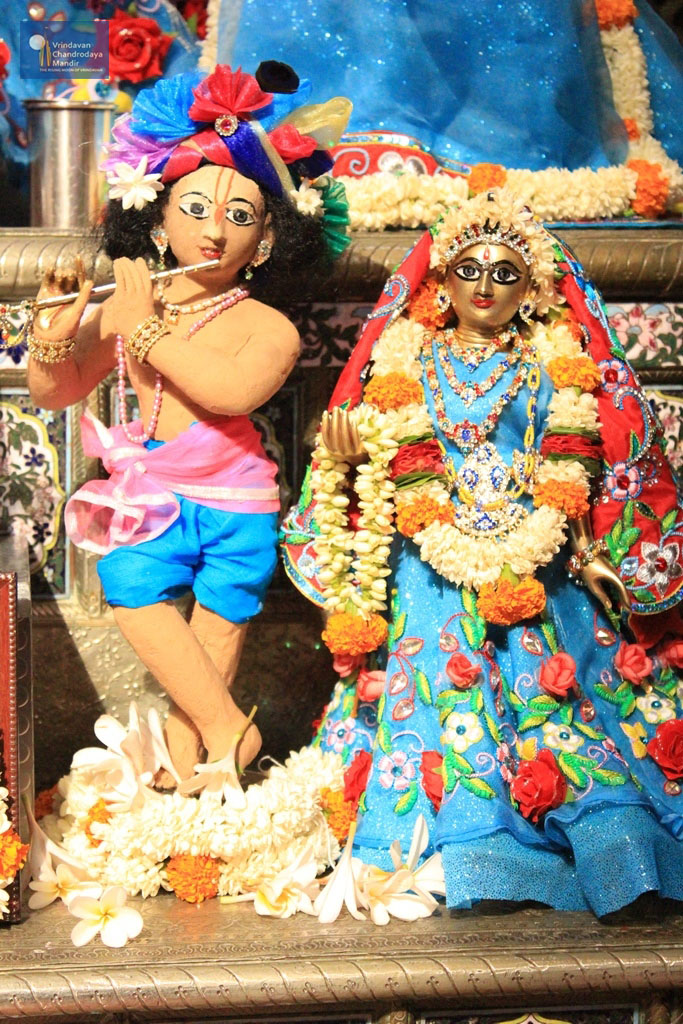 Sri Sri Radha Vrindavanchandra at Vrindavan Chandrodaya Mandir